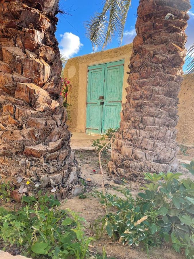 Sleep In Siwa Hotel Siwa Oasis Exterior photo