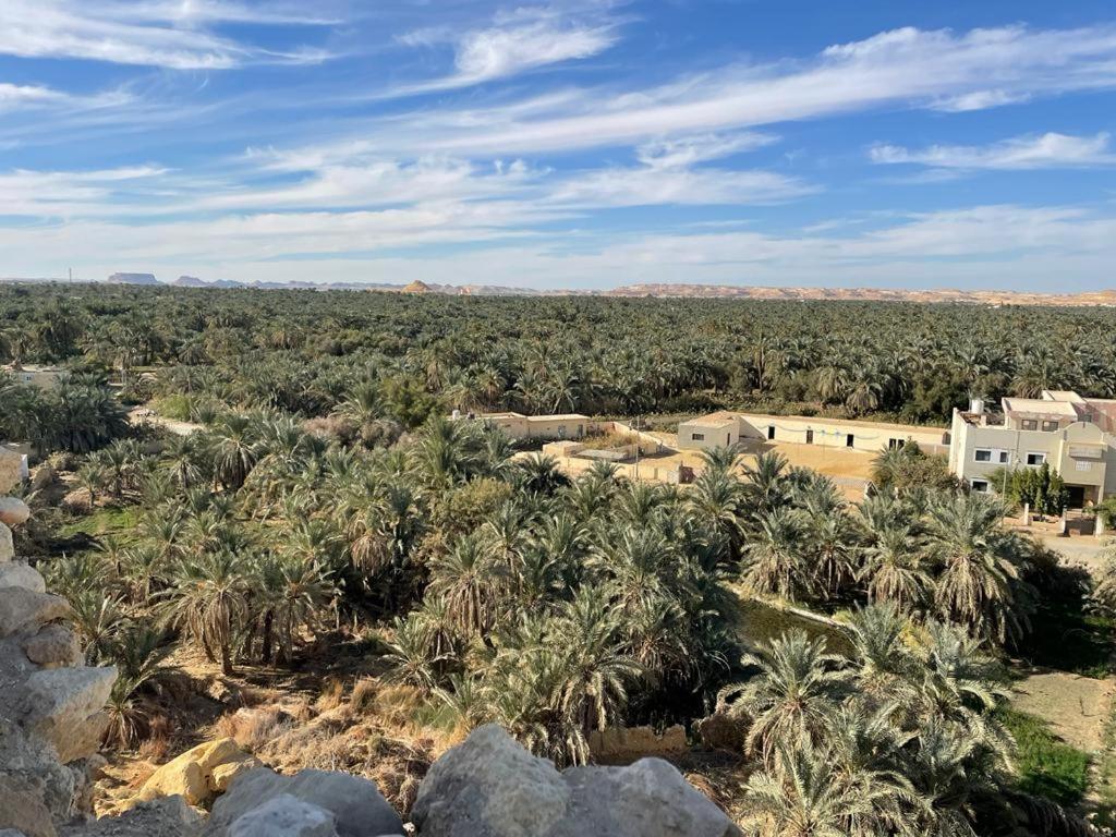 Sleep In Siwa Hotel Siwa Oasis Exterior photo